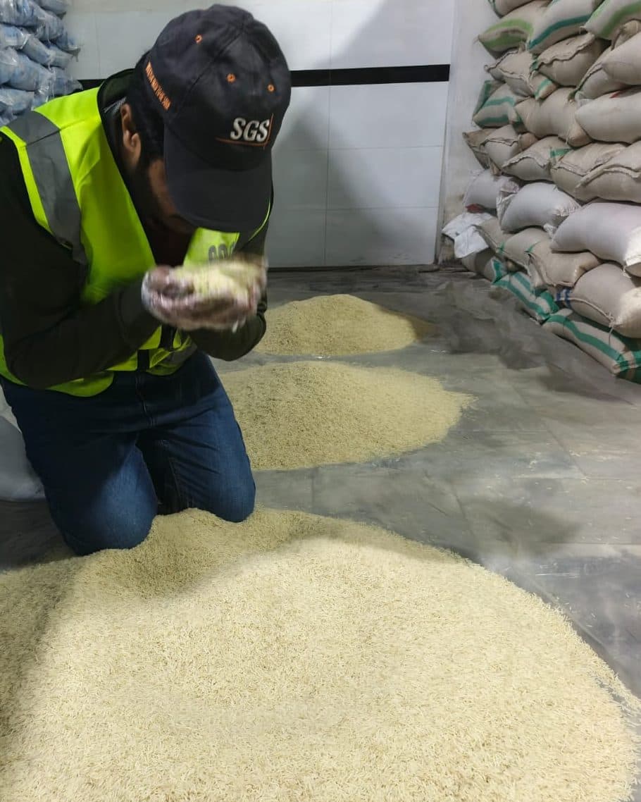 An inspector in an SGS cap and high-visibility vest kneels beside piles of loose rice in a warehouse, examining a handful of grains
